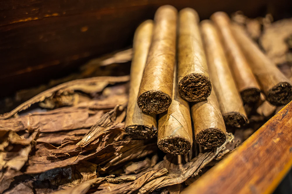 Handmade Cigars